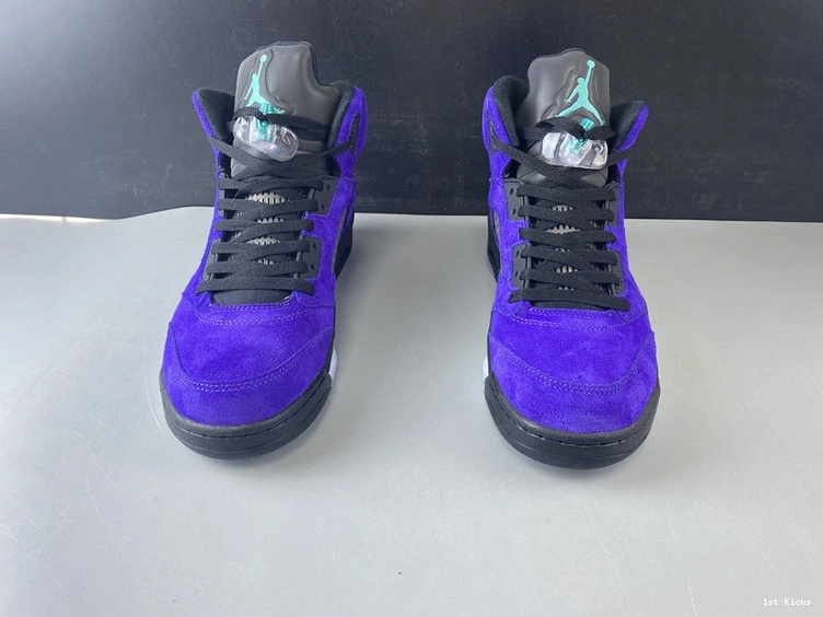  “Alternate 5 Jordan Grape” 136027-500 Air 0204